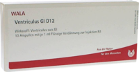 VENTRICULUS GL D 12 Ampullen