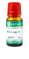 ALLIUM CEPA LM 7 Dilution