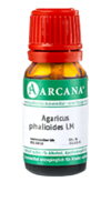 AGARICUS PHALLOIDES LM 10 Dilution