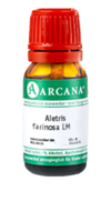 ALETRIS FARINOSA LM 10 Dilution