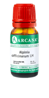 ALPINIA OFFICINARUM LM 100 Dilution