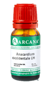 ANACARDIUM OCCIDENTALE LM 5 Dilution